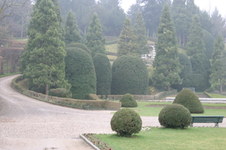 Enlarge photo 63