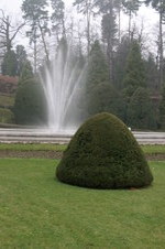 Enlarge photo 64