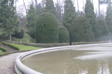 Enlarge photo 66