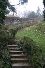 Enlarge photo 68