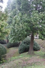 Enlarge photo 71