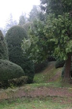 Enlarge photo 72