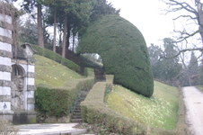 Enlarge photo 73