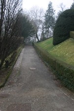 Enlarge photo 75