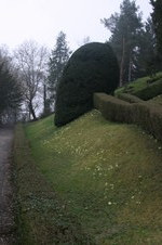 Enlarge photo 76