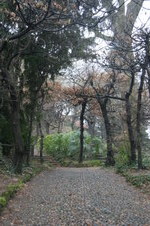 Enlarge photo 78