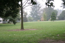 Enlarge photo 80