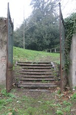 Enlarge photo 81