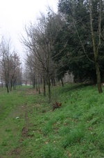 Enlarge photo 82