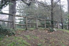 Enlarge photo 83