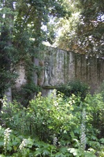 Enlarge photo 1