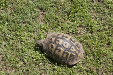 Enlarge photo 5