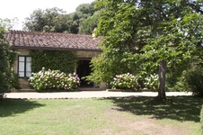 Enlarge photo 8