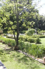 Enlarge photo 28