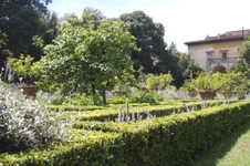 Enlarge photo 30