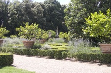 Enlarge photo 33