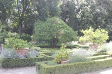 Enlarge photo 36