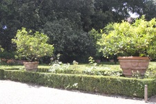 Enlarge photo 38