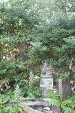 Enlarge photo 41