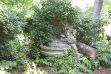 Enlarge photo 42