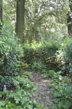 Enlarge photo 46