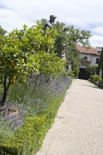 Enlarge photo 61