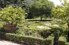Enlarge photo 62