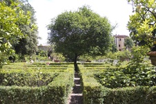 Enlarge photo 63