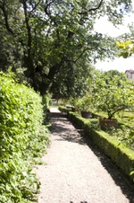 Enlarge photo 64
