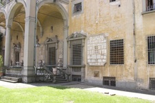 Enlarge photo 65