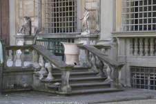 Enlarge photo 67