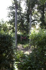 Enlarge photo 73