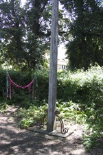 Enlarge photo 74