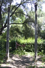 Enlarge photo 75