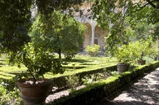 Enlarge photo 78