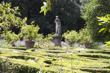 Enlarge photo 79