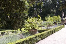 Enlarge photo 81