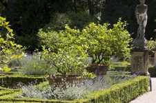 Enlarge photo 82