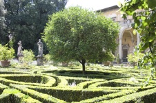Enlarge photo 83