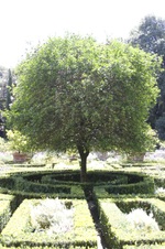 Enlarge photo 84