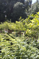 Enlarge photo 85
