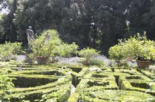 Enlarge photo 86