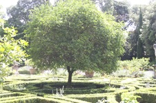 Enlarge photo 87