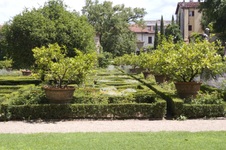 Enlarge photo 95