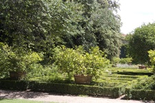 Enlarge photo 96