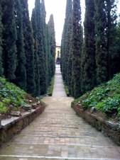 Enlarge photo 27
