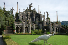 Enlarge photo 7