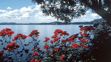 Enlarge photo 9