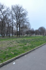 Enlarge photo 37