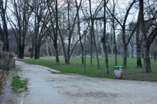 Enlarge photo 41